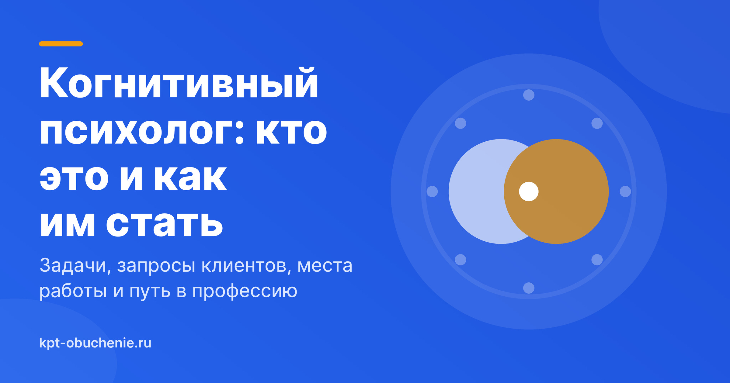 Когнитивный психолог: кто это и как им стать